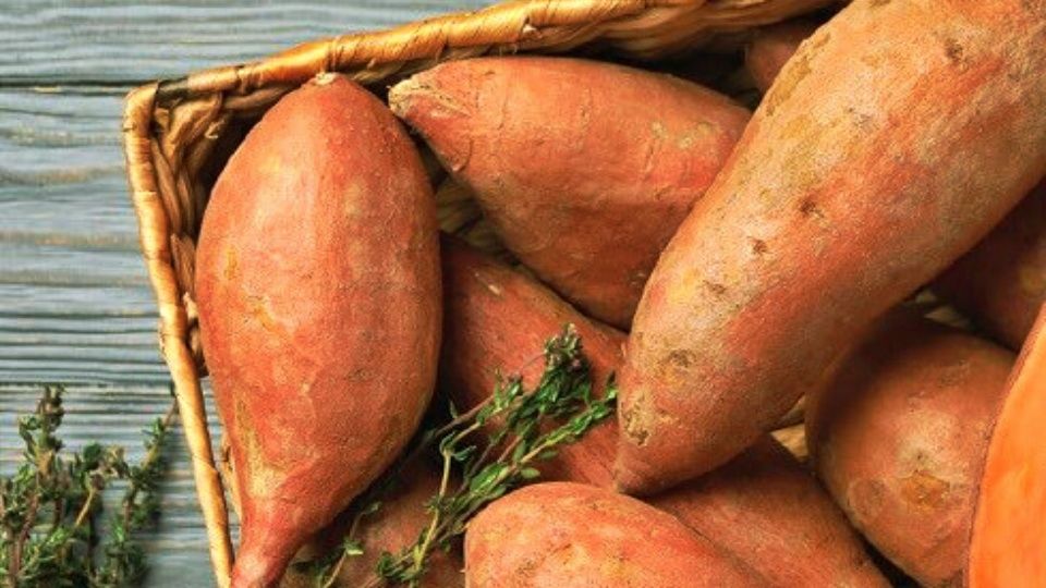 Sweet Potatoes