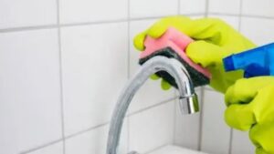 Cleaning Limescale on Showerheads